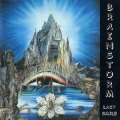 BRAINSTORM - Last Smile - CD 1974 Krautrock Garden Of Delights Progressiv