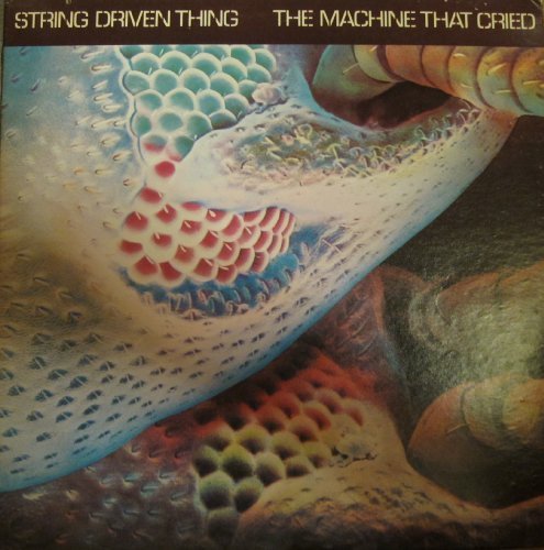 STRING DRIVEN THING - The Machine That Cried - CD 1973 SPM Progressiv
