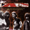 VARIOUS - Maximum prog - CD Past & Present Psychedelic Progressiv