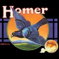 HOMER - Complete Recordings - CD 197 Gear Fab Psychedelic