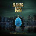 FLAMING BESS - Der gefallene Stern - CD Arkana Multimedia Krautrock Progressiv