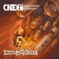 CHUCK NORRIS EXPERIMENT - Right Between The Eyes - CD Transubstans Progressiv
