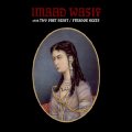 IMAAD WASIF - Strange Hexes - CD 28 World In Sound Psychedelic