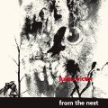 JULIUS VICTOR - From The Nest - LP 197 Out Sider Psychedelic Hardrock