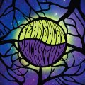 SEHNSUCHT - Wachstum - CD 21 R.A.I.G. Psychedelic Krautrock
