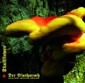 DER BLUTHARSCH & TICOTLH  SKULLFLOWER - Angel Of Darkness - CD Dead Seed Psychedelic Progressiv
