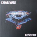 CHARIVARI - Descent - LP colour Worst Bassist Rock