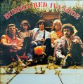 BURNIN RED IVANHOE - Burnin Red Ivanhoe - LP Longhair Progressiv Psychedelic