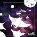 IF ANYTHING HAPPENS TO THE CAT - Mngata - LP Self release Psychedelic