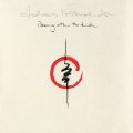 ANDREAS VOLLENWEIDER - Dancing With The Lion - CD AVAF Instrumental