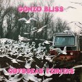 ODYSSEAS TZIRITAS - Gonzo Bliss - CD Hard Pass Songwriter Krautrock