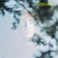 DZINGOVIC - Dzingovic - LP Veego Records Psychedelic Pop