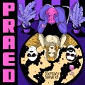 PRAED - Doomsday Survival Kit - LP AKUPHONE Dub Elektronik