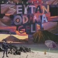 PALMIYELER - Seytan Odama Geldi - LP black Green Cookie Psychedelic Garage