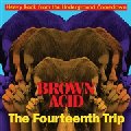 VARIOUS - Brown Acid  The 14th Trip - LP black RIDING EASY Psychedelic