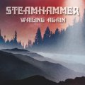 STEAMHAMMER - Wailing Again - CD MadeInGermany Psychedelic Bluesrock