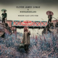 OLIVER JAMES LOMAX & NORTHANGERLAND - Working Class Love Poem - LP green Sound Psychedelic