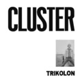 TRIKOLON - Cluster - LP 1969 Krautrock Garden Of Delights Progressiv