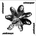 VINEGAR - Vinegar - LP 1971 Garden Of Delights Krautrock Progressiv