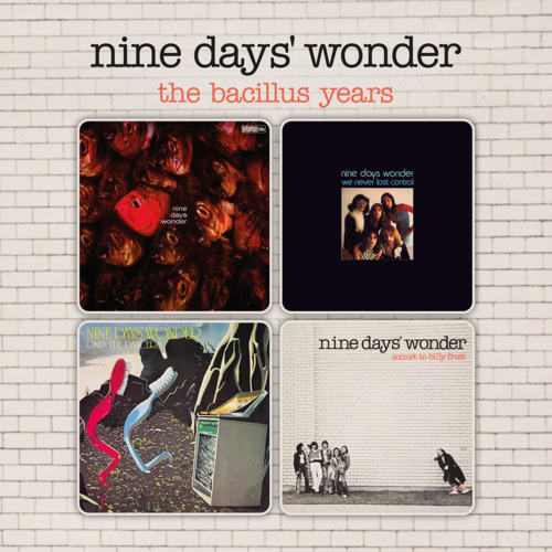 NINE DAYS WONDER - The Bacillus Years - 3 CD MadeInGermany Progressiv Krautrock