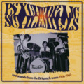 VARIOUS - PSYCHEDELIC SCHLEMIELS VOL. 1 - CD Wooden Hill Psychedelic