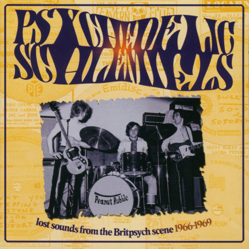 VARIOUS - PSYCHEDELIC SCHLEMIELS VOL. 1 - CD Wooden Hill Psychedelic