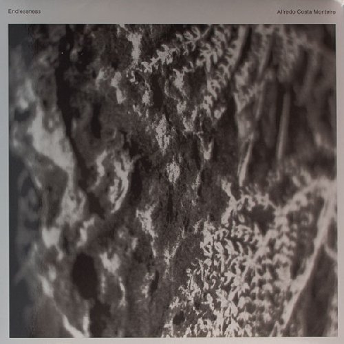 ALFREDO COSTA MONTEIRO - Endlessness - LP FAUNI GENA Elektronik Psychedelic