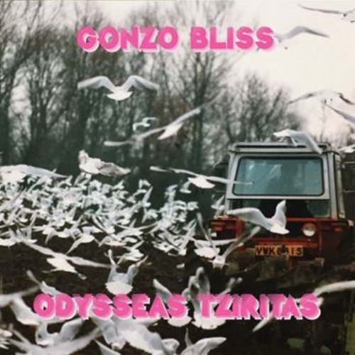 ODYSSEAS TZIRITAS - Gonzo Bliss - CD Hard Pass Songwriter Krautrock
