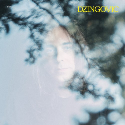 DZINGOVIC - Dzingovic - LP Veego Records Psychedelic Pop